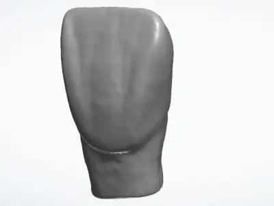 Dental morphology-first incisor 3D model