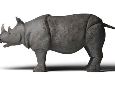 Rhinoceros 3D model