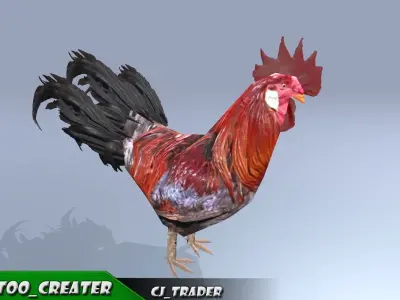 Low-Poly Chicken Collection Pack Rigged-Animated 3D Model Low-poly 3D model