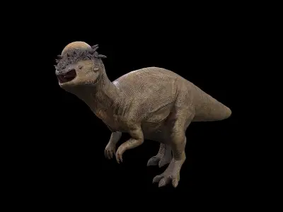 Pachycephalosaurus - Thick-Headed Lizard Low-poly 3D model
