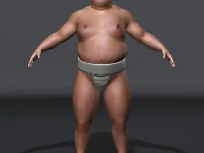 Sumo (Basic) 3D model