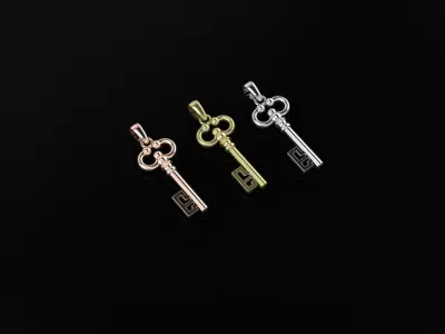 Key 3D model 3D print model