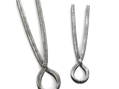 Old Pincers 3D model