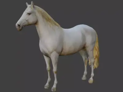  white horse 3D model