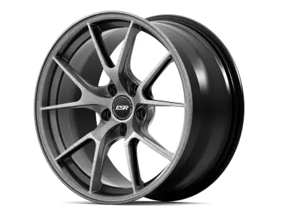 ESR RF2 Wheels 3D model
