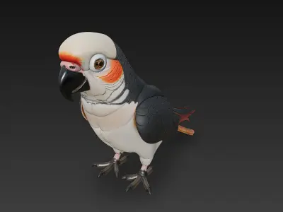 Parrot Realistic 3D Model Basic - Low Poly Realistic Low-poly 3D model