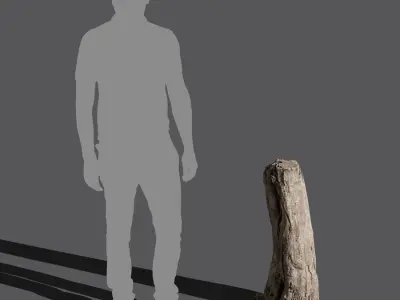  Tall Cut Bare Split Stump Model 