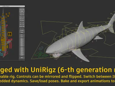 Great White Shark Animated 3D model