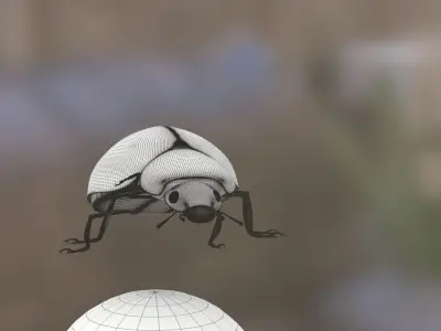 Ladybug 3D model buy