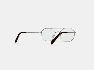 Renaldo Eyeglasses in Antique Silver 3D model