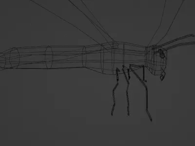Butterfly animated and fully rigged Low-poly 3D model