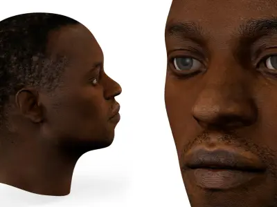 Adult African Male Head 3D model
