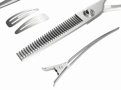 Hair Cutting Thinning Scissors Set Steel 3D model