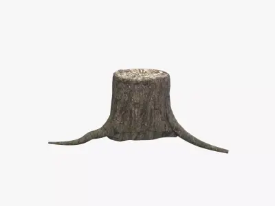 Medieval Tree Trunk V02 Low-poly 3D model