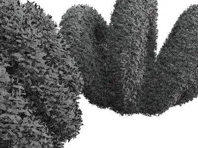 New Plant Ligustrum Quihoui Privet Pruned02 3D model
