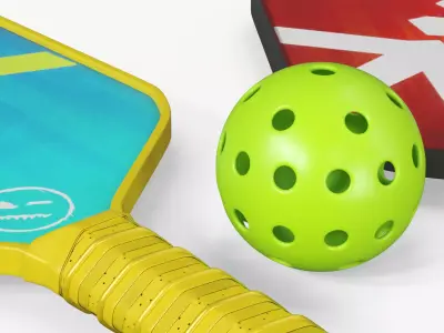 Pickleball Paddle Set with Ball and Rackets 3D model purchase