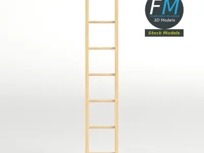 Single straight wood ladder 3D model