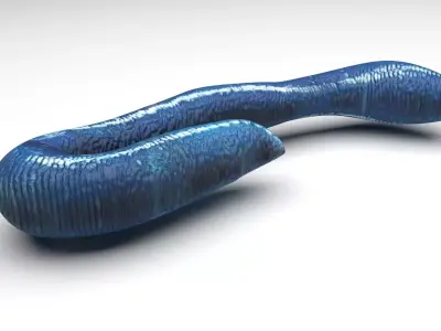 Blue Earthworm 3D model