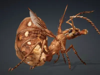 Ant Monster-V1e 3D model