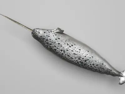 Narwhal 3D model purchase