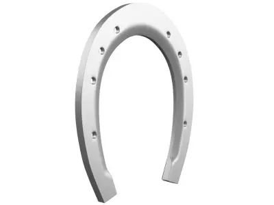 Horse Shoe 3D model