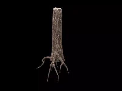 Realistic Snag Tree Low-poly 3D model buy