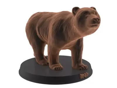 Bear printable Free 3D model
