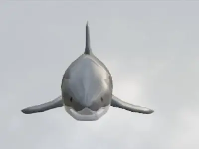 Shark Low Ploy Free low-poly 3D model