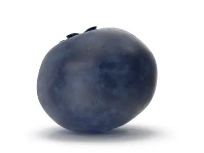 Blueberry 3D model