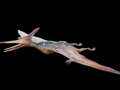 Pteranodon Low-poly 3D model purchase