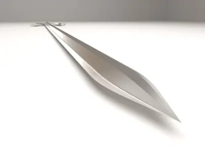 Polished Sword 3D model