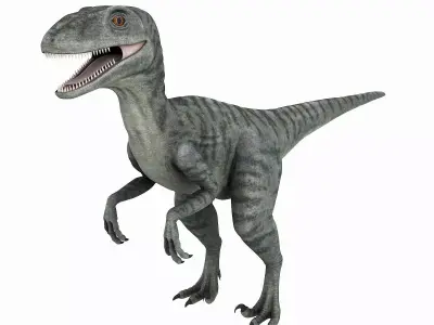 Velociraptor t - rex 3D model