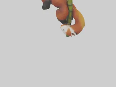 Red Panda climbing bamboo model Low-poly 3D model
