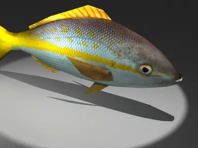 Yellowtail Snapper Low-poly 3D model
