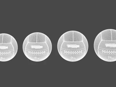 Technogym Accessories Medicine Ball 3D model