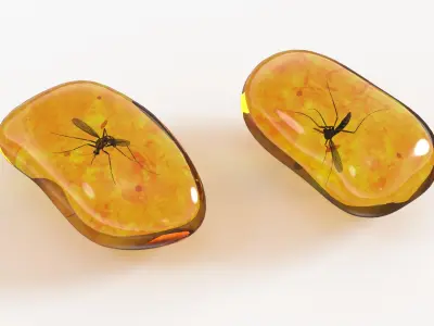 Amber Stone with Mosquito Fossil 3D model