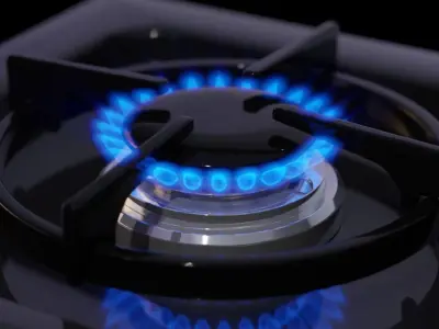 Gas Stove Flames 3D model