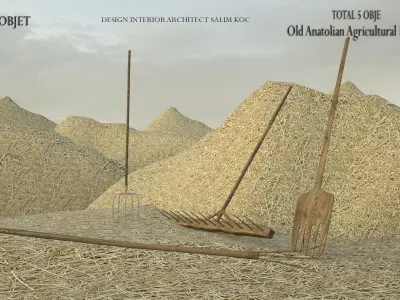  OLD ANATOLIAN AGRICULTURAL TOOLS  DESIGN  Low-poly 3D model