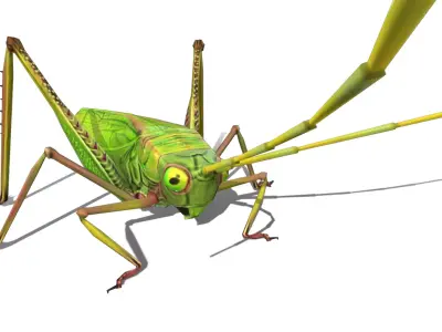 Grasshopper Animals  Low-poly 3D model
