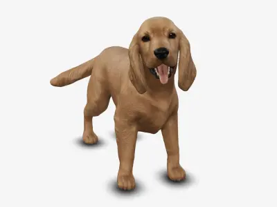 dog cocker spaniel Low-poly 3D model