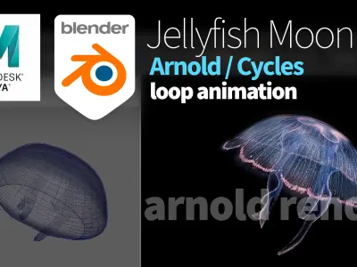 Jellyfish Moon Low-poly 3D model