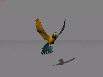 Parrot Blue Bird Animal Low-poly 3D model