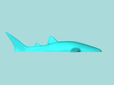 Whale Shark - Wall Decor - Decoration 3D print model