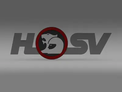 hsv logo 3D model by Sergey