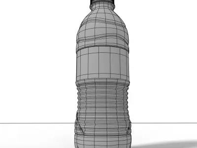 Water bottle  3D model