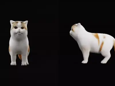 Exotic ShortHair Cat Free 3D model