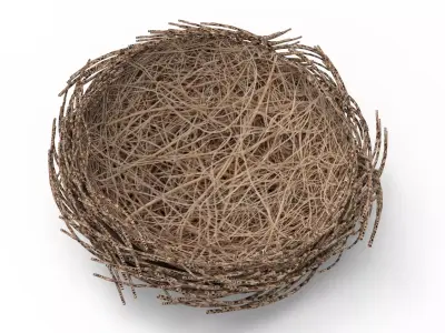 Bird Nest  Realistic Low-poly 3D model