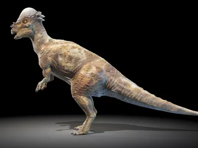 Pachycephalosaurus 3D model