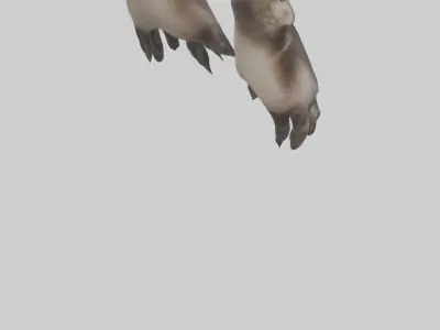 Otter Paws Low-poly 3D model