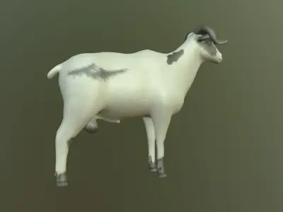 Sheep with long horns 3D model